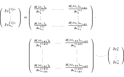 \begin{equation*}\small \begin{split}\left( \begin{array}{c} \delta v^{(\lambda)...
... \vdots \\ \delta v^{\ast}_{n} \\ \end{array} \right) \end{split}\end{equation*}
