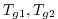 $ T_{g1},T_{g2}$