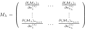 \begin{displaymath}
M_{\lambda} \, = \,
\left(
\begin{array}{ccc}
\frac{\partial...
...}{\partial v^{(\lambda)}_{n_{\lambda}}} \\
\end{array}\right)
\end{displaymath}