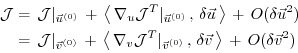 \begin{displaymath}\begin{split}{\cal J} & = \, {\cal J} \vert _{\vec{u}^{(0)}} ...
...vec{v} \, \right\rangle \, + \, O(\delta \vec{v}^2) \end{split}\end{displaymath}