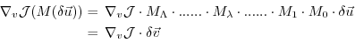 \begin{displaymath}\begin{split}\nabla_v {\cal J} (M(\delta \vec{u})) & = \, \na...
... ~ & = \, \nabla_v {\cal J} \cdot \delta \vec{v} \\ \end{split}\end{displaymath}