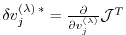 $ \delta v^{(\lambda) \, \ast}_{j} = \frac{\partial}{\partial v^{(\lambda)}_{j}}
{\cal J}^T $