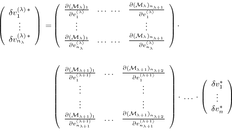 \begin{equation*}\begin{aligned}\left( \begin{array}{c} \delta v^{(\lambda) \, \...
...vdots \\ \delta v^{\ast}_{n} \\ \end{array} \right) \end{aligned}\end{equation*}