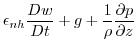 $\displaystyle \epsilon _{nh}\frac{Dw}{Dt}+g+\frac{1}{\rho }\frac{\partial p}{\partial z}$