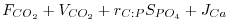 $\displaystyle F_{CO_2} + V_{CO_2} + r_{C:P} S_{PO_4} + J_{Ca}$