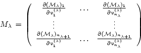 \begin{displaymath}
M_{\lambda} \, = \,
\left(
\begin{array}{ccc}
\frac{\partial...
...}{\partial v^{(\lambda)}_{n_{\lambda}}} \\
\end{array}\right)
\end{displaymath}