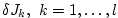 $ \delta J_{k}, \,\, k = 1, \ldots, l $