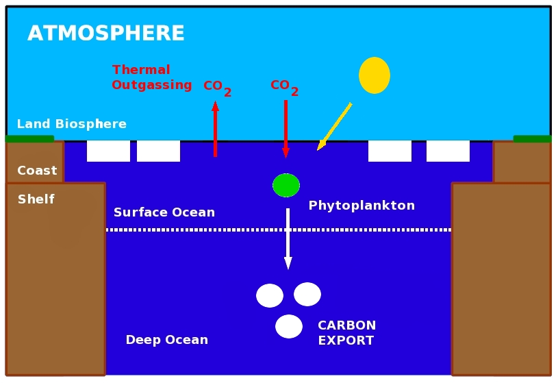 Figure2b: Schematic of the Summertime Arctic Ocean Carbon Cycle