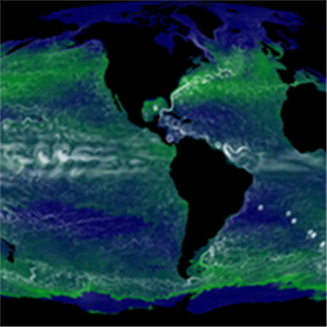 Various fields from an integration of the darwin model with 78 types of phytoplankton in MITgcm with ECCO2 physics: sea-surface temperature, subsurface-velocity, nitrate and chlorophyll-a