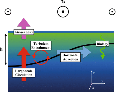 Diagram of the dominant carbon fluxes in and out of the Southern Ocean mixed layer - Bronselaer et al. 2018